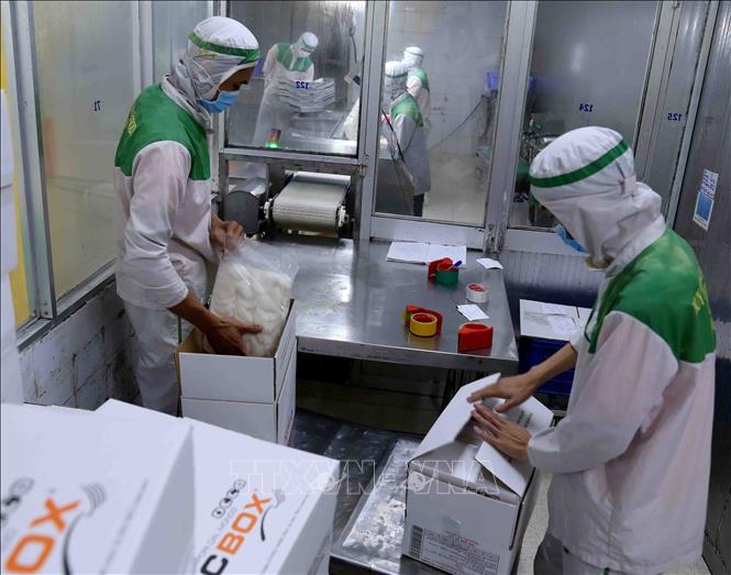 Trong ảnh: Đóng gói sản phẩm thủy hải sản xuất khẩu tại nhà máy của Công ty TNHH Huy Nam. Ảnh: Vũ Sinh - TTXVN