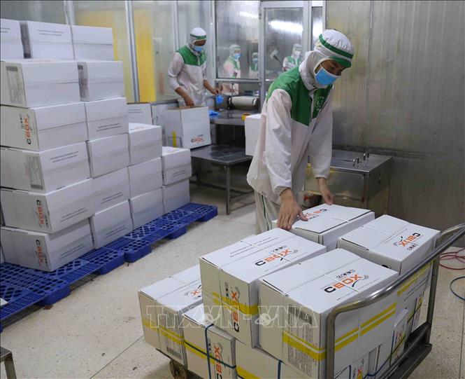 Trong ảnh: Đóng gói sản phẩm thủy hải sản xuất khẩu tại nhà máy của Công ty TNHH Huy Nam. Ảnh: Vũ Sinh - TTXVN