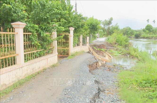 Trong ảnh: Đoạn sạt lở có chiều dài gần 30m, ăn sâu vào đất liền hơn 3,5m thuộc ấp Thới Mỹ 2, xã Vĩnh Thới, huyện Lai Vung, tỉnh Đồng Tháp. Ảnh: Chương Đài - TTXVN