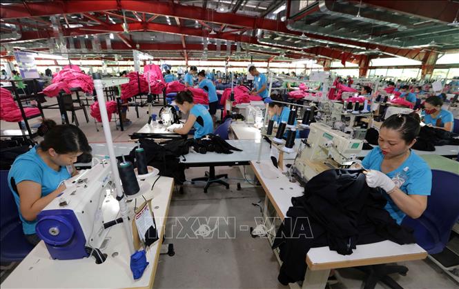 Trong ảnh: May hàng xuất khẩu sang thị trường Mỹ tại nhà máy Maxport 09 ở huyện Vũ Thư (Thái Bình). Ảnh: Trần Việt - TTXVN