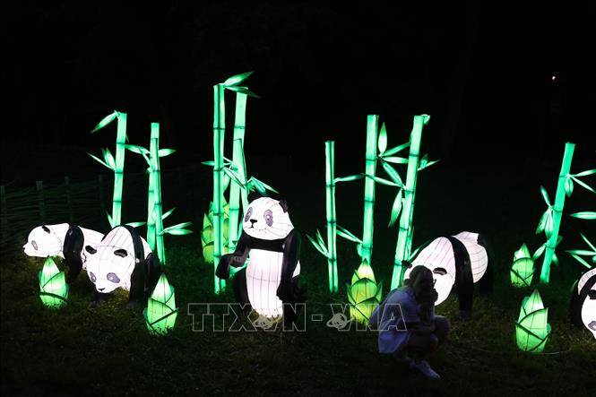 Trong ảnh: Một mẫu đèn lồng được trưng bày tại triển lãm đèn lồng Tự Cống ở Sibiu, Romania ngày 24/6/2019. Ảnh: THX/TTXVN