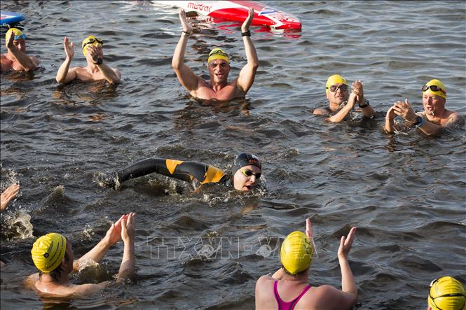 Trong ảnh: Chúc mừng kình ngư  Maarten van der Weijden (giữa)  khi anh hoàn thành cuộc  bơi marathon. Ảnh: AFP/TTXVN
