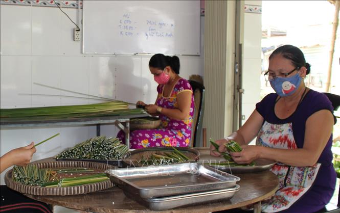 Photo: Middle-aged ladies are the main work force in producing grass straws. Their works including harvesting, cleaning, cutting and packaging the grass straws. VNA Photo: Đức Hạnh 