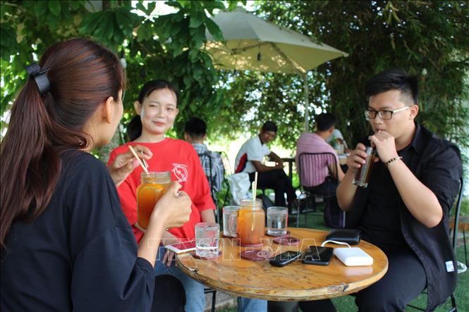 Photo: A customer using dry grass straw at a coffee shop. Advantages of glass straws include: clean, no preservative, does not alter the drink's taste like bamboo or metal straws, and can quickly biodegrade after discard. VNA Photo: Đức Hạnh