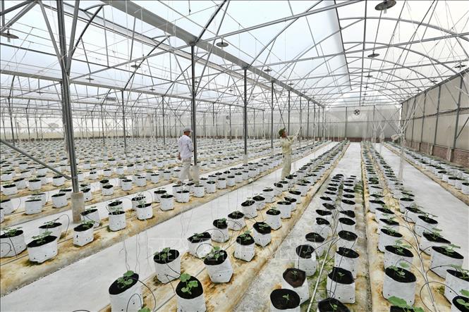 Delco Farm  Mô hình trang trại thông minh giải pháp nông nghiệp công nghệ  cao  Ảnh chuyên đề  Thông tấn xã Việt Nam TTXVN