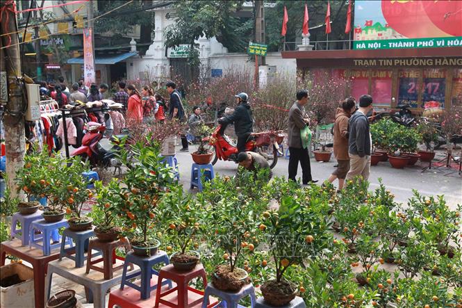 Với cộng đồng quốc tế, Thủ đô Hà Nội là hình ảnh về một thành phố luôn phát triển năng động nhưng vẫn giữ những nét truyền thống. Trong ảnh: Đi chợ hoa ngày Tết, nét đẹp văn hóa truyền thống của người Hà Nội mỗi khi Tết đến, xuân về. Ảnh: Diệu Anh - TTXVN