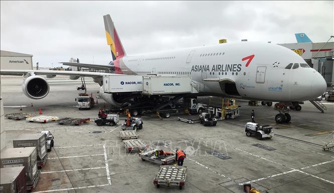 Trong ảnh (tư liệu): Máy bay Airbus A380 của hãng hàng không Asiana Airlines đỗ tại sân bay quốc tế Los Angeles, Mỹ ngày 24/5/2018. Ảnh: AFP/TTXVN