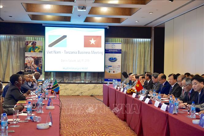 Trong ảnh: Phó Thủ tướng Trịnh Đình Dũng dự và phát biểu chỉ đạo Diễn đàn Doanh nghiệp Việt Nam – Tanzania. Ảnh: Đình Lượng - TTXVN