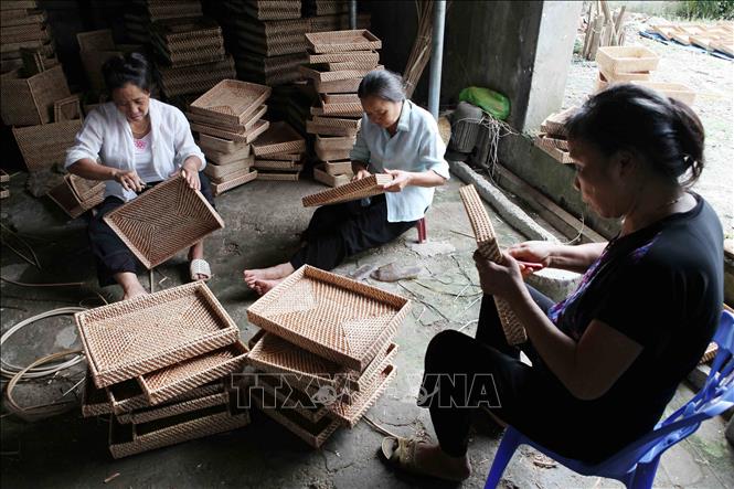 Hà Nội có rất nhiều điểm thu hút khách du lịch với cảnh quan kiến trúc độc đáo, di sản văn hóa phong phú cùng nhiều làng nghề thủ công và truyền thống. Trong ảnh: Làng nghề mây tre đan Phú Vinh, xã Phú Nghĩa, huyện Chương Mỹ - làng nghề truyền thống hơn 400 năm có tiếng của Hà Nội, hiện có hơn 2400 hộ gia đình làm nghề, sản phẩm đã đạt đến đỉnh cao nhất trong nghệ thuật mây tre đan hiện nay ở Việt Nam, chiếm được thị hiếu người tiêu dùng trong và ngoài nước. Ảnh: Trần Việt - TTXVN