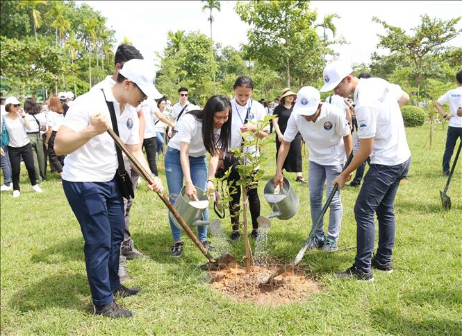Photo: Young Vietnamese expats plant trees at the Kim Lien relic site. VNA Photo: Nguyễn Oanh