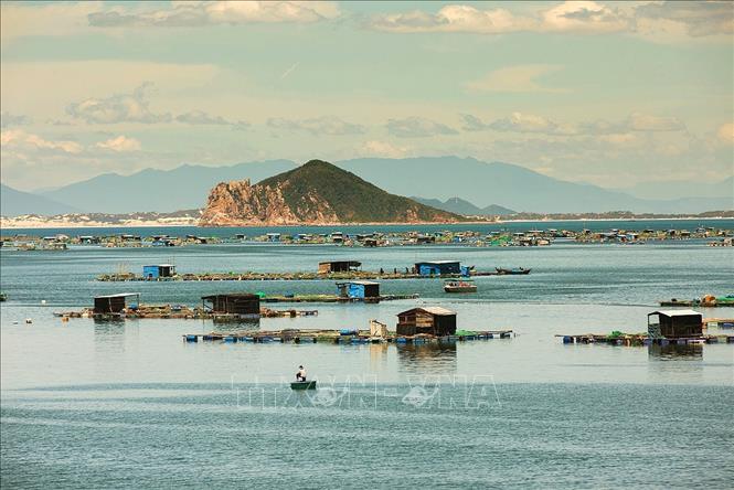 Photo: Floating homes with fish farms on Vung Ro Bay on a peaceful day. VNA Photo: Trọng Đạt 