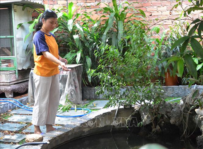 Trong ảnh: Trần Thị Ngọc Minh, nữ thủ khoa khối B của thành phố Đà Nẵng. Ảnh: Văn Dũng - TTXVN