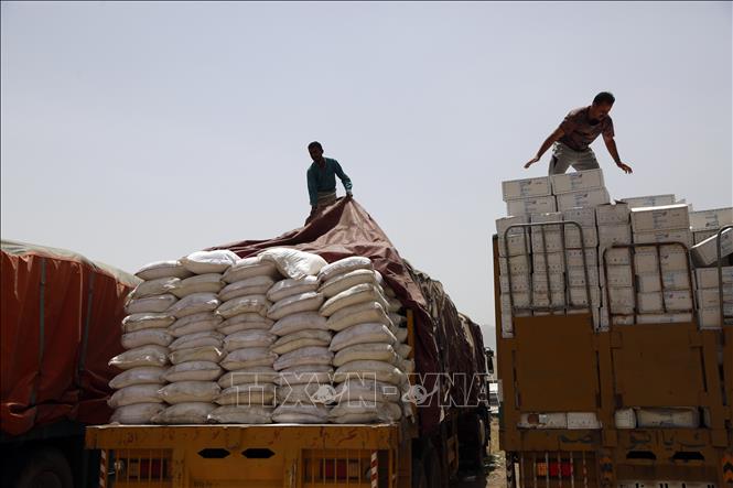 Trong ảnh: Lương thực viện trợ cho người dân Yemen từ Chương trình Lương thực Thế giới (WFP) được đưa tới thủ đô Sanaa ngày 23/6/2019. Ảnh: THX/TTXVN
