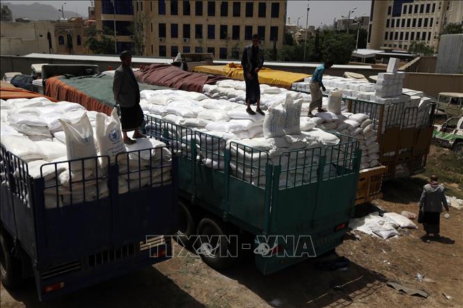 Trong ảnh: Lương thực viện trợ cho người dân Yemen từ Chương trình Lương thực Thế giới (WFP) được đưa tới thủ đô Sanaa ngày 23/6/2019. Ảnh: THX/TTXVN