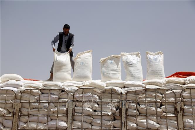 Trong ảnh: Lương thực viện trợ cho người dân Yemen từ Chương trình Lương thực Thế giới (WFP) được đưa tới thủ đô Sanaa ngày 23/6/2019. Ảnh: THX/TTXVN