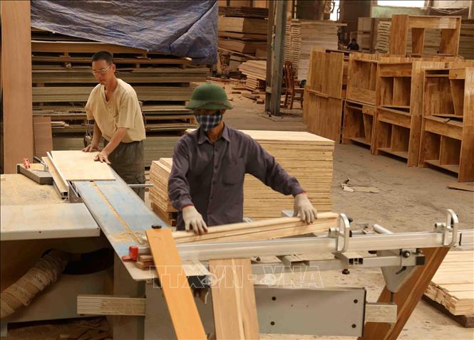 Trong ảnh: Chế biến gỗ tại nhà máy của Công ty TNHH Vũ Thịnh. Ảnh: Vũ Sinh - TTXVN