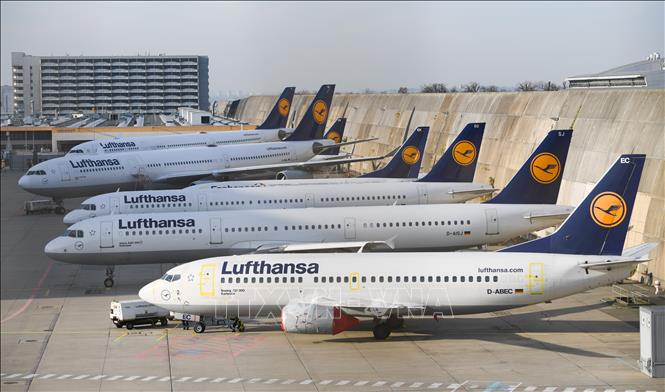 Trong ảnh: Máy bay của Hãng hàng không Lufthansa tại sân bay Frankfurt am Main, Đức. Ảnh: AFP/TTXVN