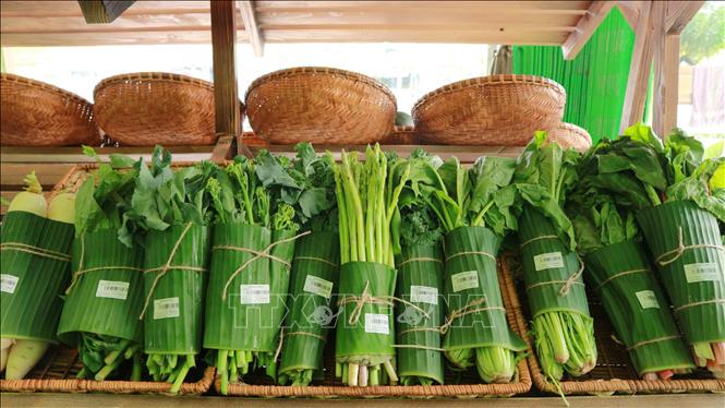 Trong ảnh: Tại các hệ thống siêu thị ở Việt Nam, sản phẩm rau được bọc bằng lá chuối thay vì bằng túi nylon nhận được sự quan tâm, ủng hộ nhiệt tình của người tiêu dùng. Ảnh: TTXVN