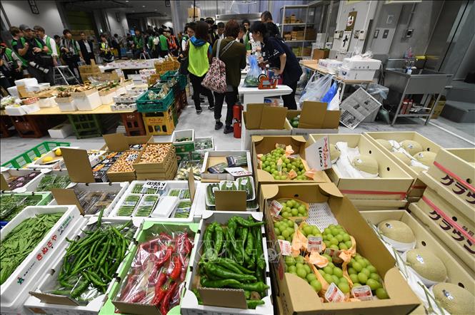 Trong ảnh: Bộ Môi trường Nhật Bản đang xem xét ban hành lệnh cấm các siêu thị và cửa hàng cung cấp túi ni lông miễn phí cho người mua hàng nhằm giảm rác thải nhựa. Ảnh: TTXVN/phát