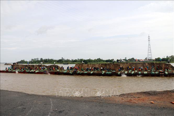 Trong ảnh: Lực lượng chức năng thả bao cát gia cố đường bờ, hạn chế sạt lở. Ảnh: Công Mạo-TTXVN