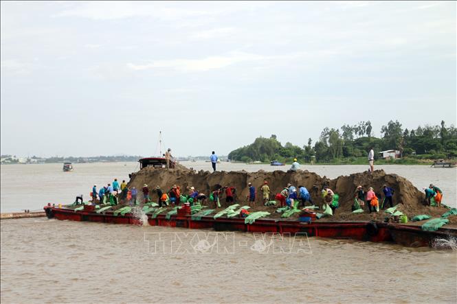 Trong ảnh: Lực lượng chức năng thả bao cát gia cố đường bờ, hạn chế sạt lở. Ảnh: Công Mạo-TTXVN