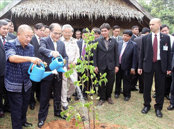 Trong ảnh: Chủ tịch Quốc hội Nguyễn Sinh Hùng đến thăm và trồng cây lưu niệm tại Khu Di tích tưởng niệm Chủ tịch Hồ Chí Minh ở tỉnh Udon Thani, ngày 4/12/2012, trong khuôn khổ chuyến thăm chính thức Vương quốc Thái Lan. Ảnh: Nhan Sáng - TTXVN