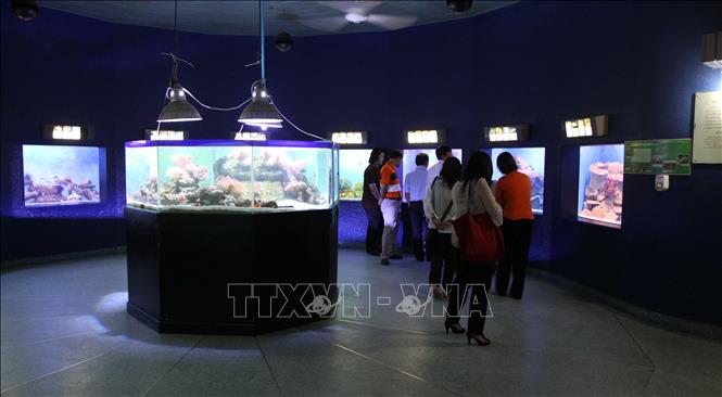 Tính đến tháng 12/2018, có hơn 300.000 lượt khách Thái Lan đến Việt Nam, tăng 14,3% so với năm 2017, đứng thứ 2 trong nhóm khách các nước Đông Nam Á tới Việt Nam và có hơn 1 triệu lượt khách Việt Nam tới Thái Lan, tăng 9,46% so với năm 2017 và đứng thứ 3 trong nhóm khách các nước Đông Nam Á tới Thái Lan. Trong ảnh: Du khách Việt Nam tham quan Viện hải dương học ở Bang Lamung‎, tỉnh Chonburi, Thái Lan. Ảnh: Diệu Anh - TTXVN