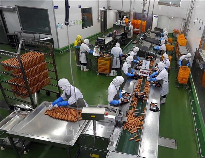 Trong lĩnh vực hợp tác kinh tế, Thái Lan hiện đang là đối tác thương mại lớn nhất của Việt Nam trong ASEAN, cũng là đối tác đầu tư thứ 9 của Việt Nam. Nhiều doanh nghiệp, tập đoàn lớn của Thái Lan đang đầu tư, kinh doanh hiệu quả, có chỗ đứng ngày càng vững chắc tại thị trường Việt Nam. Các doanh nghiệp Việt Nam cũng đã bắt đầu đầu tư vào Thái Lan. Trong ảnh: Chế biến sản phẩm xúc xích từ thịt lợn tại Nhà máy chế biến thực phẩm của Công ty Cổ phần chăn nuôi C.P. Việt Nam, 100% vốn đầu tư của Tập đoàn C.P.(Charoen Pokphand), Thái Lan. Ảnh: Vũ Sinh – TTXVN