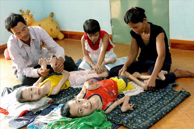 Trong ảnh: Gia đình ông Nguyễn Hữu Dõng, ở xã Tiên Châu, huyện Tiên Phước, tỉnh Quảng Nam có 7 người con bị di chứng chất độc da cam, là một trong 200 hộ gia đình đã từng bước ổn định cuộc sống từ dự án nuôi bò của Quỹ Hòa giải - Hàn gắn vết thương chiến tranh (Mỹ) do Quỹ Bảo trợ nạn nhân da cam hỗ trợ từ năm 2007 (2011). Ảnh: Dương Ngọc - TTXVN