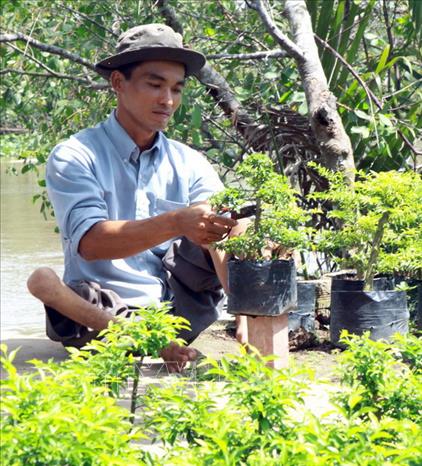 Trong ảnh: Anh Trần Văn Phú, xã Vĩnh Hòa, huyện Chợ Lách, tỉnh Bến Tre bị teo liệt bẩm sinh cả 2 chân, phải vận động bằng đầu gối do di chứng chất độc da cam/dioxin từ cha mẹ là dân thường, sinh sống trong vùng bị rải chất độc hóa học. Vượt lên nỗi đau, anh nỗ lực luyện tập, học nghề trồng cây giống, hoa cảnh, mở dịch vụ buôn bán nhỏ tại nhà, có thu nhập ổn định (2010). Ảnh: Dương Ngọc - TTXVN