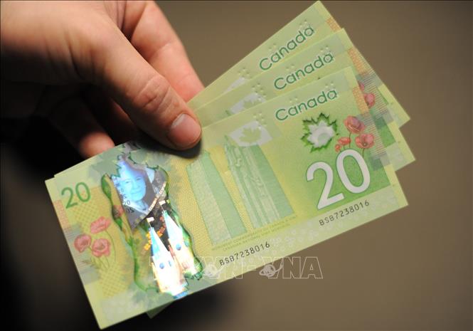 Trong ảnh: Đồng tiền mệnh giá 20 đôla Canada. Ảnh: AFP/ TTXVN