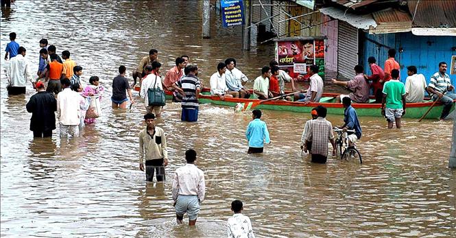 Trong ảnh: Cảnh ngập lụt tại Sangli, Ấn Độ. Ảnh: AFP/ TTXVN