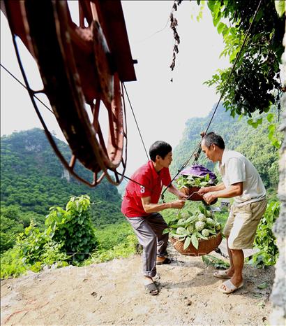 Trong ảnh: Nông dân vận chuyển sản phẩm na bằng tời tự chế từ trên núi cao xuống chợ để tiêu thụ. Ảnh: Vũ Sinh - TTXVN