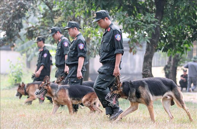 Không ngừng đổi mới nội dung, chương trình, phương pháp, nâng cao hiệu quả công tác huấn luyện, diễn tập, thực binh. Trong ảnh: Lực lượng Cảnh sát cơ động, Công an thành phố Hồ Chí Minh huấn luyện đội chó nghiệp vụ phục vụ yêu cầu nhiệm vụ. Ảnh: Quang Nhựt – TTXVN