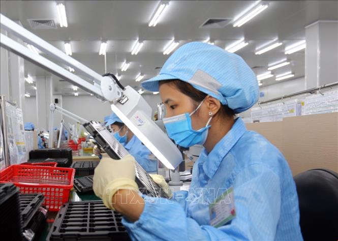 Trong ảnh: Kiểm tra các bản mạch điện tử dạng dẻo, nhiều lớp tích hợp của Công ty TNHH Young Poong Electronics VINA tại khu công nghiệp Bình Xuyên II (Vĩnh Phúc). Ảnh: Danh Lam – TTXVN