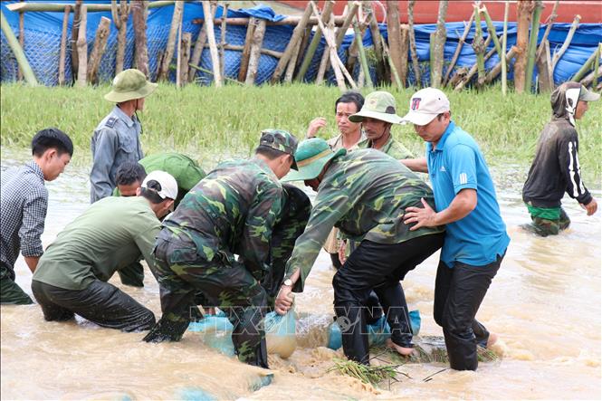 Trong ảnh: Lực lượng Công an, Quân đội cùng người dân khắc phục sự cố vỡ đê Quảng Điền. ảnh: Tuấn Anh - TTXVN