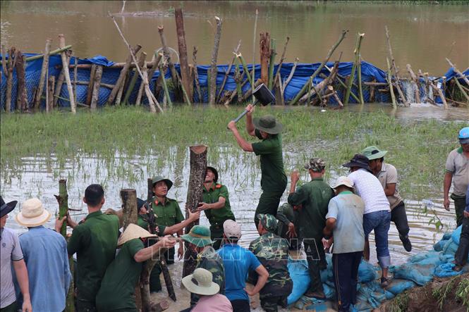 Trong ảnh: Lực lượng Công an, Quân đội cùng người dân khắc phục sự cố vỡ đê Quảng Điền. ảnh: Tuấn Anh - TTXVN