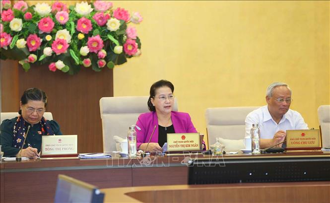 Trong ảnh: Chủ tịch Quốc hội Nguyễn Thị Kim Ngân phát biểu ý kiến. Ảnh: Doãn Tấn - TTXVN