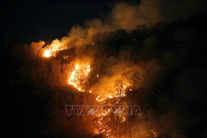 Trong ảnh: Lửa cháy dữ dội tại rừng Amazon nằm trên địa phận bang Tocantins, Brazil ngày 17/8/2019. Ảnh: THX/TTXVN