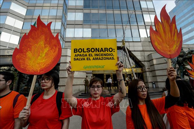 Trong ảnh: Các nhà hoạt động xã hội tuần hành phản đối Chính phủ Brazil phản ứng chậm trước thảm họa cháy rừng Amazon, bên ngoài Đại sự quán Brazil ở Santiago, Chile ngày 23/8/2019. Ảnh: AFP/TTXVN