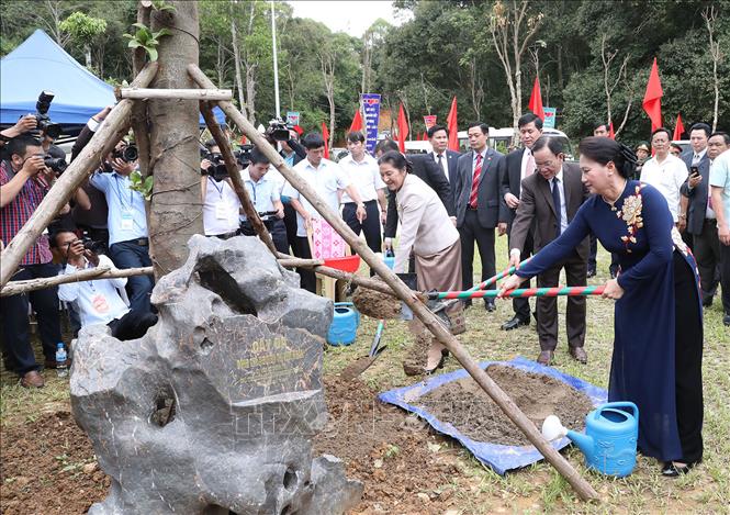 Trong ảnh: Chủ tịch Quốc hội Nguyễn Thị Kim Ngân và Chủ tịch Quốc hội Lào Pany Yathotou trồng cây lưu niệm tại Khu di tích lịch sử Cách mạng Việt Nam – Lào ở bản Lao Khô, huyện Yên Châu, tỉnh Sơn La, sáng 6/7/2017. Ảnh: Trọng Đức – TTXVN