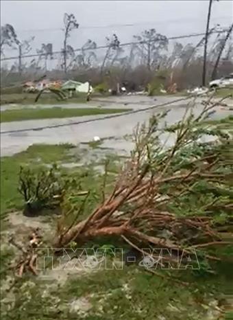 Trong ảnh: Cây cối bị gãy đổ sau khi bão Dorian tràn vào đảo quốc Bahamas ngày 2/9/2019. Ảnh: AFP/TTXVN