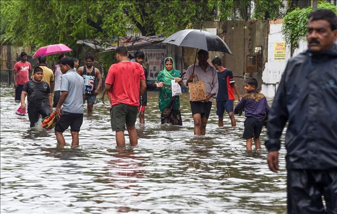 Trong ảnh: Cảnh ngập lụt sau những trận mưa lớn tại Mumbai, Ấn Độ. Ảnh: AFP/TTXVN