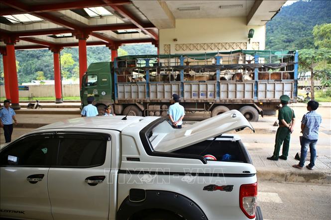 Trong ảnh: Phương tiện lưu thông qua cửa khẩu quốc tế Cha Lo (Quảng Bình). Ảnh: Minh Quyết – TTXVN