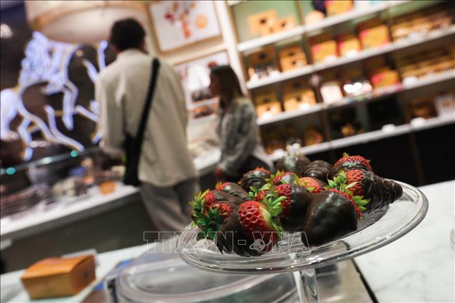 Trong ảnh: Các  loại socola được bày bán tại cửa hàng  ở Brussels, Bỉ, ngày 6/9. Ảnh: THX/TTXVN