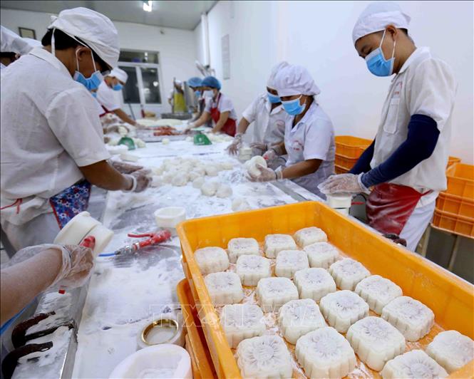 Trong ảnh: Sản xuất bánh dẻo tại nhà máy của Công ty. Ảnh: Vũ Sinh - TTXVN