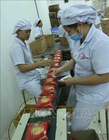 Trong ảnh: Dây chuyền đóng gói sản phẩm bánh trung thu tại nhà máy của Công ty. Ảnh: Vũ Sinh - TTXVN
