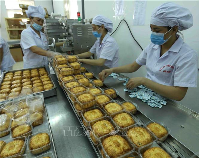 Trong ảnh: Dây chuyền đóng gói sản phẩm bánh trung thu tại nhà máy của Công ty. Ảnh: Vũ Sinh - TTXVN