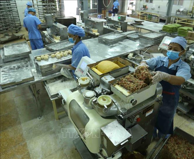Trong ảnh: Dây chuyền sản xuất bánh nướng tại nhà máy của Công ty. Ảnh: Vũ Sinh - TTXVN