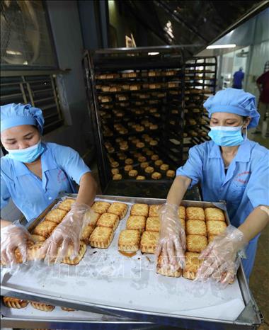 Trong ảnh: Kiểm tra chất lượng bánh nướng trước khi đưa sang dây chuyền đóng gói tại nhà máy của Công ty. Ảnh: Vũ Sinh - TTXVN